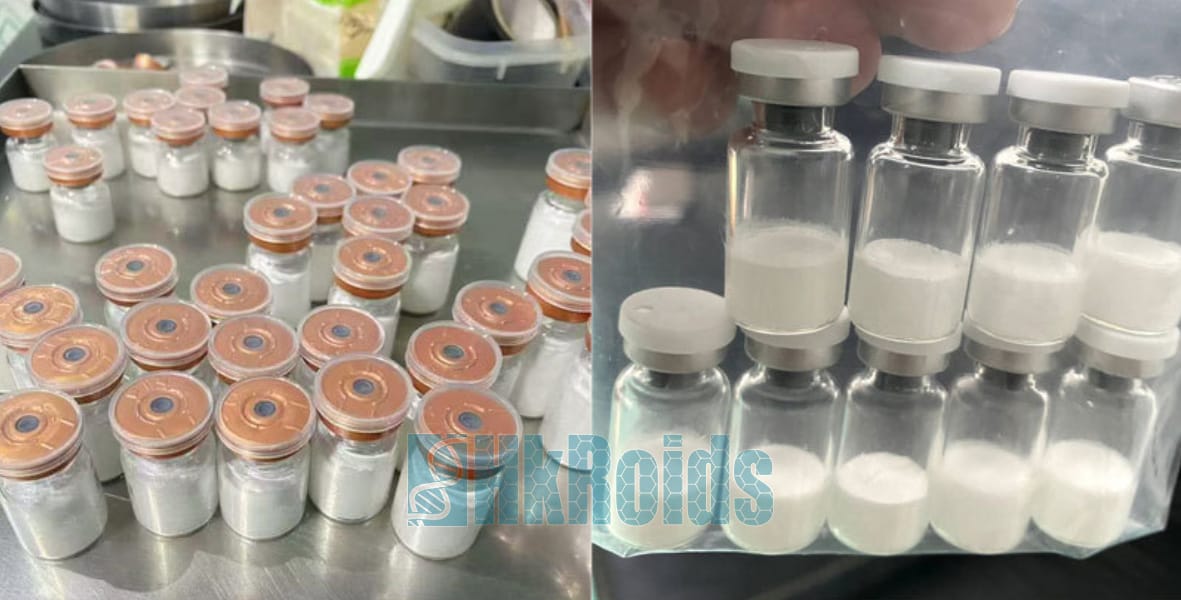 Freeze Drying Machine Lyophilizer Lab Mini Freeze Dryer - Image 2